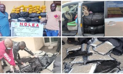 NDLEA Intercepts N3.4bn Drugs