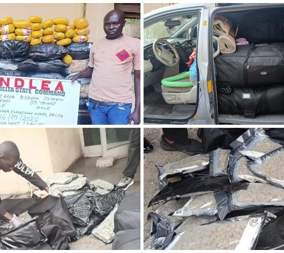 NDLEA Intercepts N3.4bn Drugs