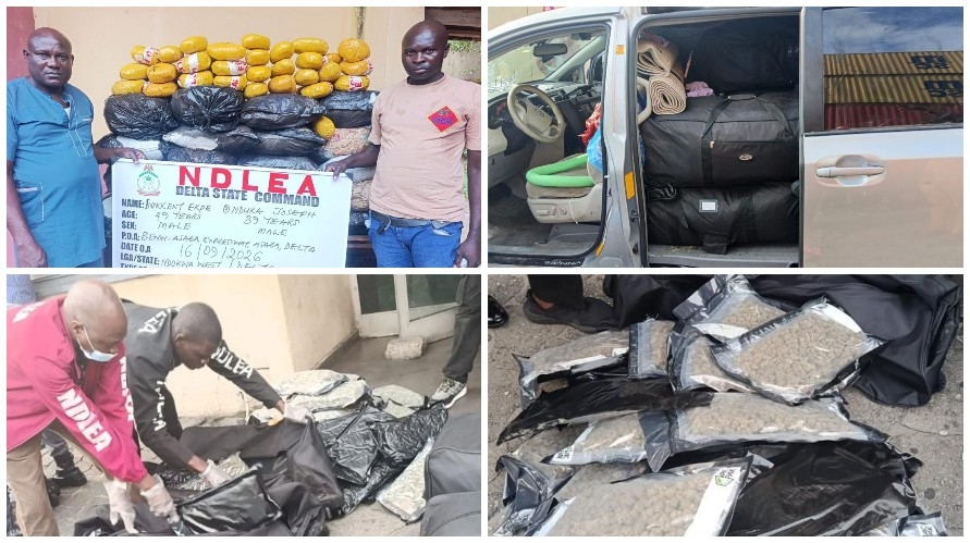 NDLEA Intercepts N3.4bn Drugs